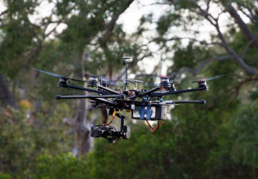 Koala-sensing drone helps keep tabs on drop bear numbers