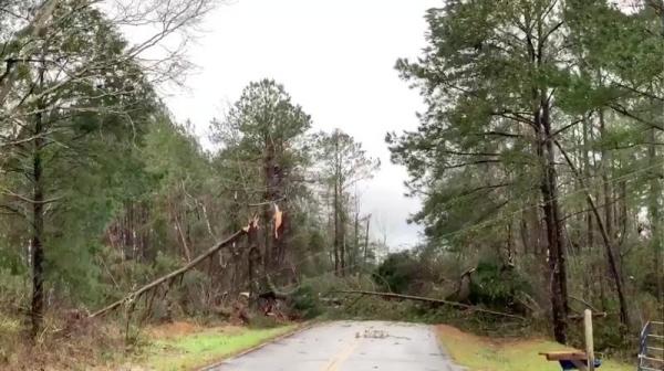 At least 23 dead in Alabama tornadoes, winter not over for northeast