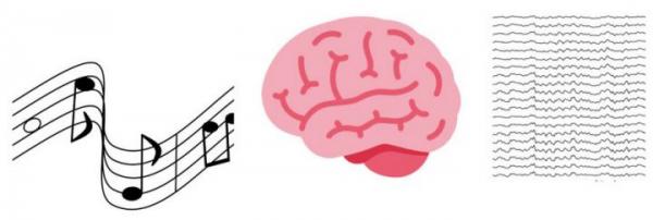 Music captivates listeners and synchronizes their brainwaves
