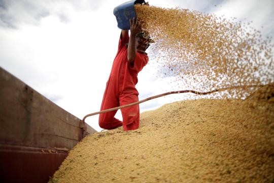 Freio na economia mundial pode segurar ritmo do agronegócio do Brasil