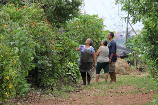 São Paulo ganharia R$ 500 mi ao ano com nova gestão alimentar