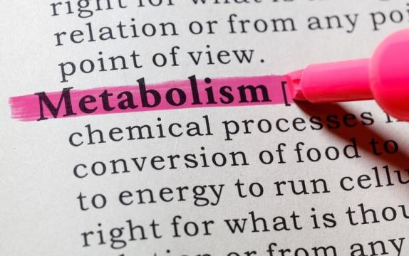 What Is Your Metabolism?