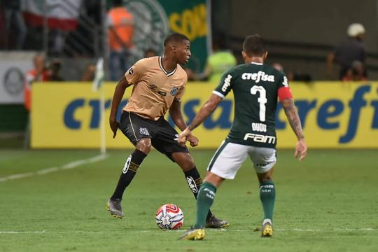Palmeiras e Santos abrem quartas de final do Paulista no sábado