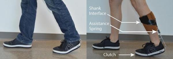 Ankle exoskeleton fits under clothes for potential broad adoption