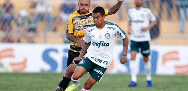 Campeonato Paulista | Palmeiras empata com Novorizontino no 1º jogo das quartas de final