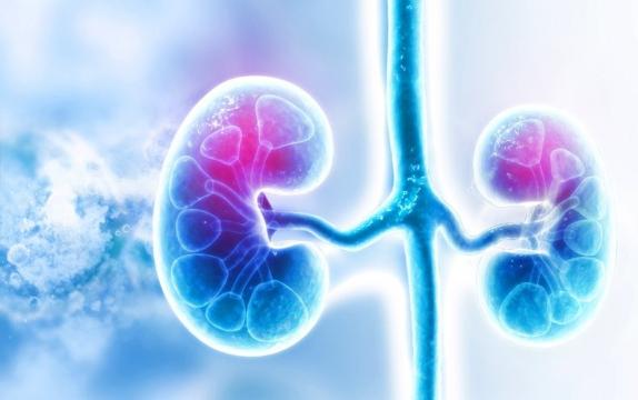 World's First HIV-To-HIV Kidney Transplant With Living Donor Performed Successfully