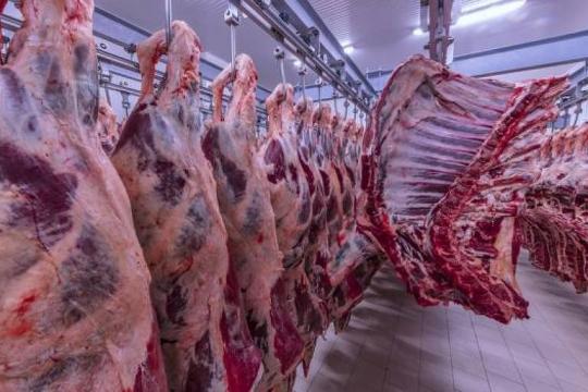 A aproximação entre Bolsonaro e Israel pode afetar o mercado bilionário de carne halal no Brasil?