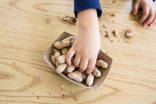 A New Way to Treat Peanut Allergy