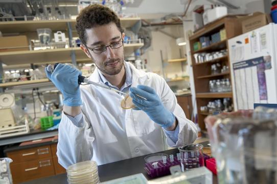 Montana State postdoctoral researcher wins LSRF fellowship for CRISPR research