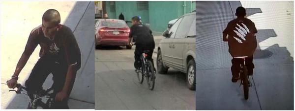 Homeless man arrested over bike-riding slasher attacks in Los Angeles