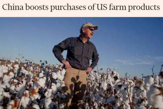 China já compra mais soja e algodão dos EUA