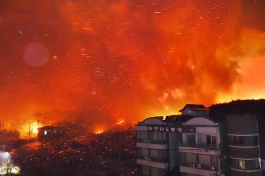 Incêndio florestal na Coreia do Sul desaloja 4.000 pessoas perto da fronteira