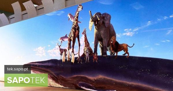 Sony mostra tela gigantesca com resolução de 16K