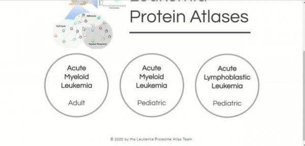 The Leukemia Atlas: researchers unveil proteins that signal disease
