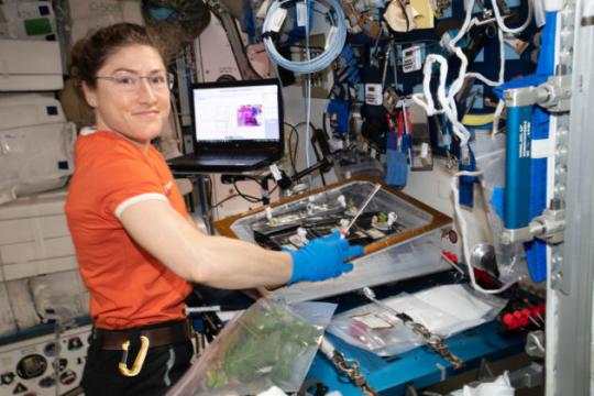 NASA sets up more ‘Near Year in Space’ stays, including a record-setter for women