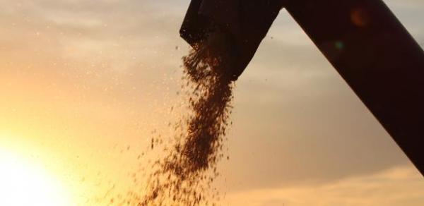 Guedes afirmou que 'lei morreu' | Agronegócio pode perder R$ 40 bilhões se governo taxar a exportação