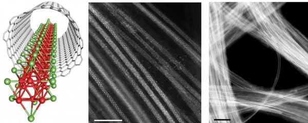 From 2D to 1D: Atomically quasi '1D' wires using a carbon nanotube template