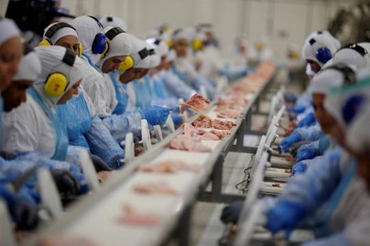 JBS compra processadora de carne suína no RS por R$ 235 milhões