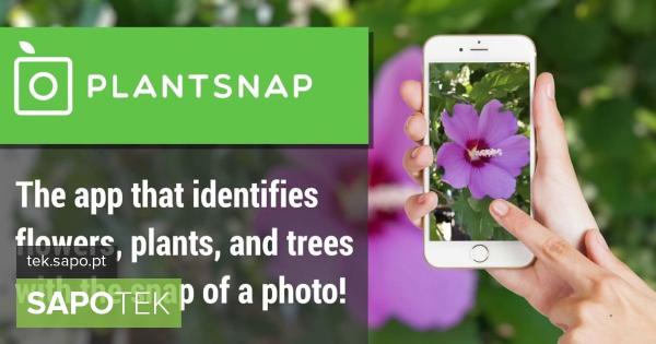 Identifique flores e plantas com o seu smartphone