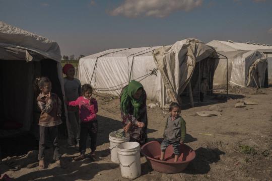 Avelãs da Nutella vêm de fazendas turcas com refugiados sírios ilegais