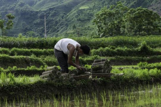 Vietnam can reduce emissions, save $2.3 billion by 2030 in ag, forestry and land use