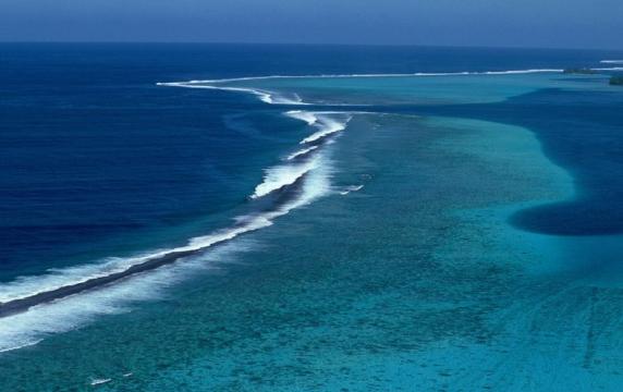 U.S. Coral Reefs Do $1.8 Billion of Work Per Year