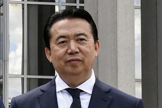 Wife of ex-Interpol chief Meng Hongwei granted asylum in France: lawyer