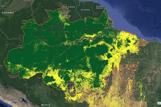 É falso que período de chuvas impediu desmatamento na Amazônia