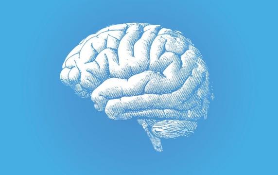 Faster MRI Method Could Shake Up Brain Imaging 