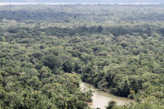 Diretor do Inpe será exonerado | Governadores da Amazônia Legal defendem dados de desmate do Inpe