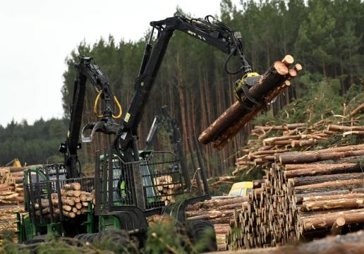 Tesla resumes tree cutting in Germany to build Gigafactory