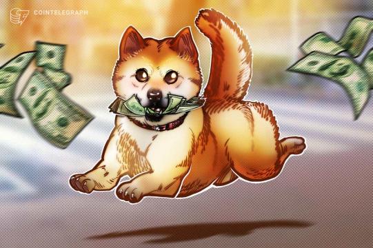 Top dogs: Newbie Shiba Inu bites back, gains 25% vs. Dogecoin in February