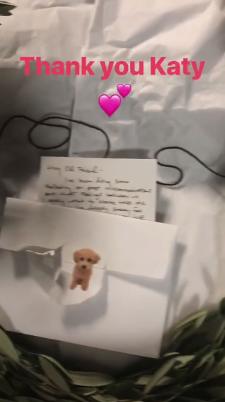 Ok, well, on Tuesday, Taylor Swift was sharing backstage moments from her tour rehearsals when suddenly she shows a package thing from KATY PERRY. Katy sent her an OLIVE BRANCH and a NOTE.