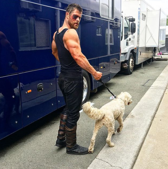 It's this photo of Chris Hemsworth's arm. And the rest of him too. And also his dog.