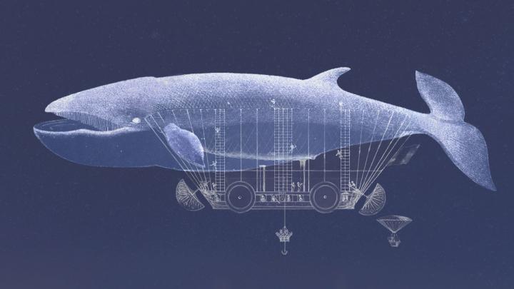 apr18-13-hbr-nypl-whale-a