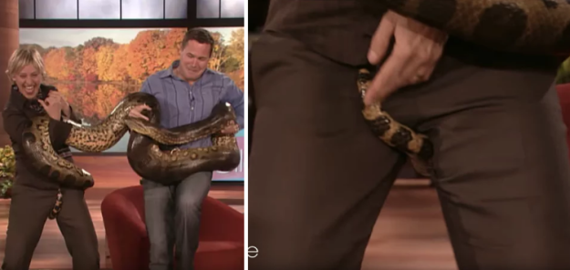 And when Ellen's interview with Jeff Corwin turned into Anaconda: