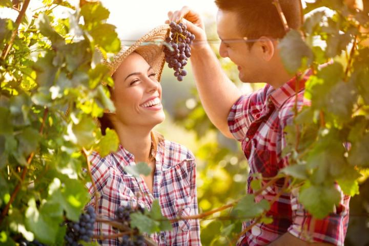 Couple-Eating-Concord-Grapes-1024x683.jpg