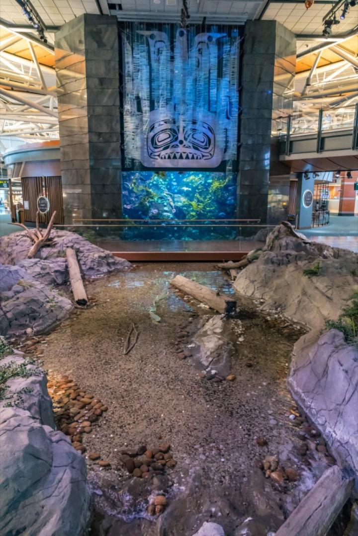 vancouver-airport-aquarium-1024x1535.jpg