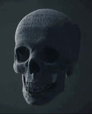 skull9.jpg?quality=85&strip=info