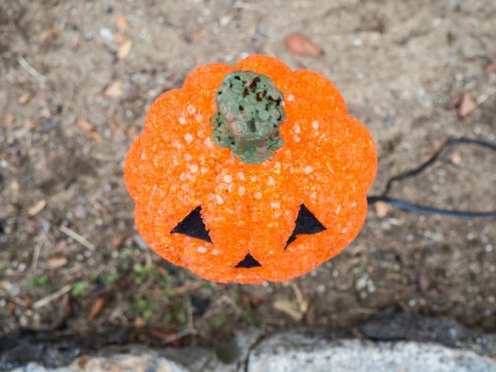 Jack-o-lanterns-light-up-night.jpg