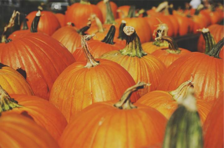 You-get-visit-pumpkin-patch.jpg