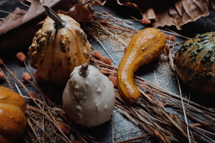 Decorating-gourds.jpg