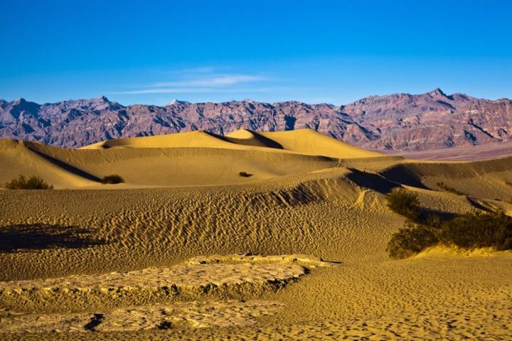 mojave-desert-1-1024x683.jpg