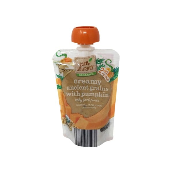 Organic-Pumpkin-Baby-Food-1.jpg