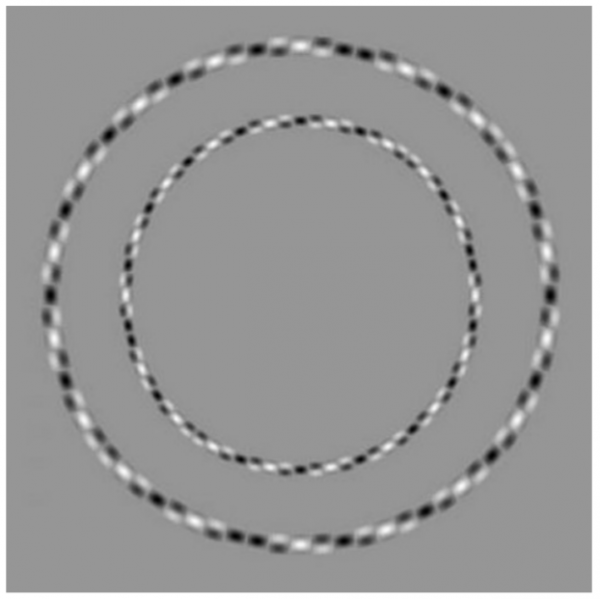 concentric-circule-illusion.png?sw=600&cx=0&cy=0&cw=622&ch=621