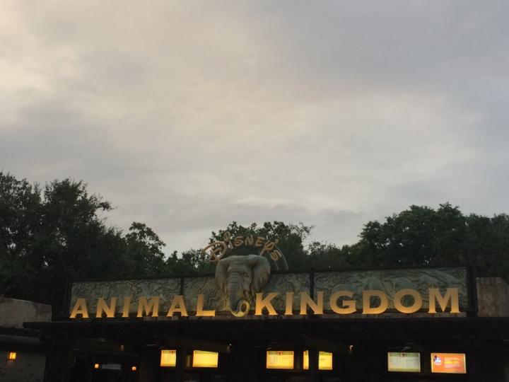 Disney-Animal-Kingdom-Meant-Have-Mythical-Creature-Area.JPG