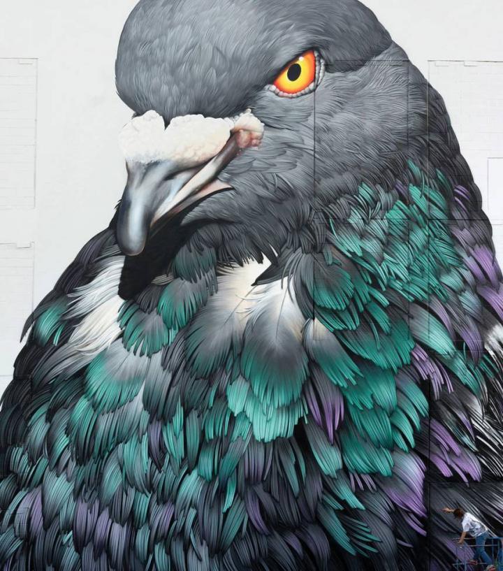 pigeon-murals-adele-renault-8.jpg.860x0_q70_crop-smart.jpg