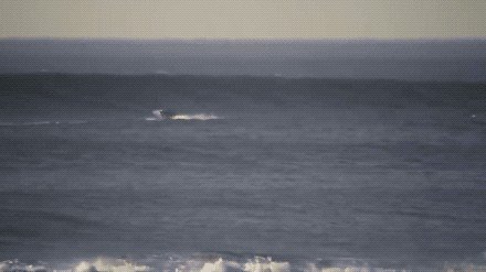 waves-eating-boats-for-breakfast-19-gifs-1325.jpg?quality=85&strip=info