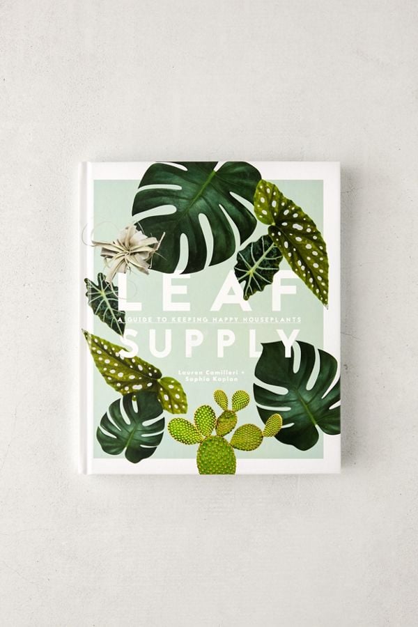 Leaf-Supply-Guide-Keeping-Happy-House-Plants-Lauren-Camilleri-Sophia-Kaplan.jpg