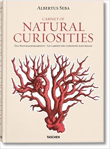 Cabinet-Natural-Curiosities-Albertus-Seba.jpg